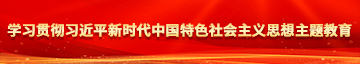 国产大鸡巴操女骚逼视频学习贯彻习近平新时代中国特色社会主义思想主题教育